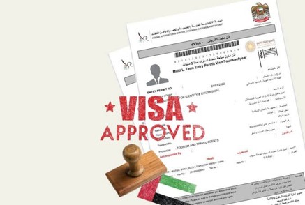 Investor and Partner Visa Processing